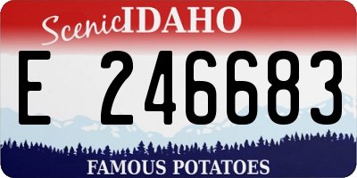 ID license plate E246683
