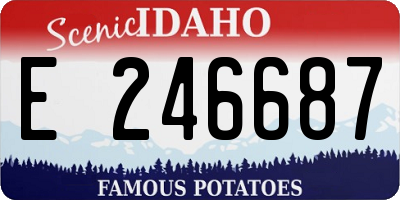 ID license plate E246687