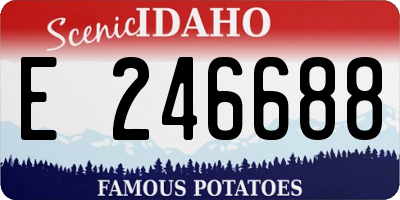 ID license plate E246688