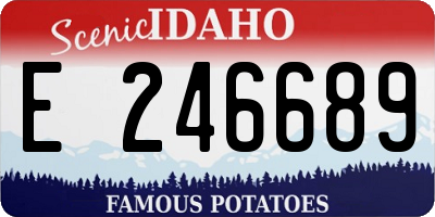 ID license plate E246689