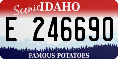 ID license plate E246690