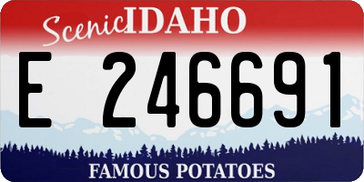 ID license plate E246691