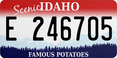 ID license plate E246705
