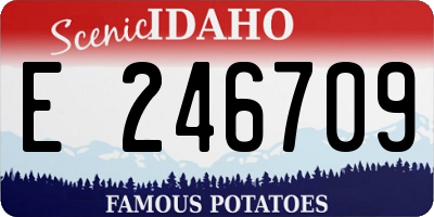 ID license plate E246709