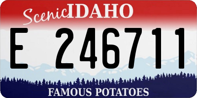 ID license plate E246711