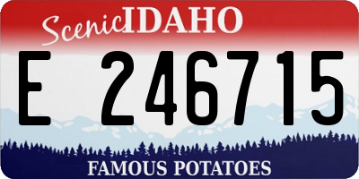 ID license plate E246715