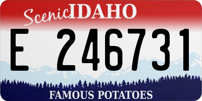 ID license plate E246731