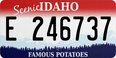 ID license plate E246737