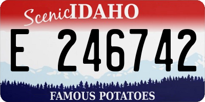 ID license plate E246742