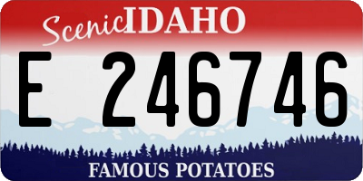 ID license plate E246746