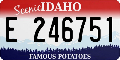 ID license plate E246751