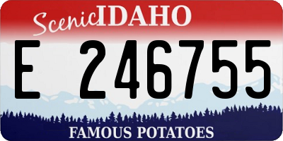 ID license plate E246755