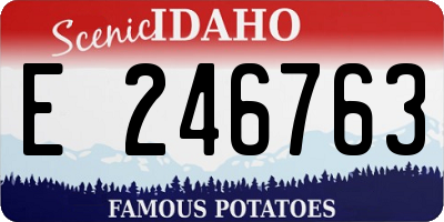 ID license plate E246763