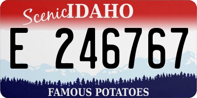 ID license plate E246767