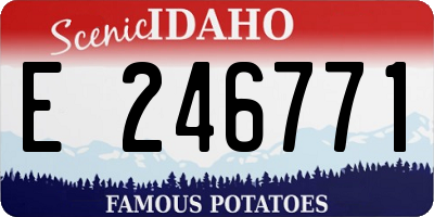 ID license plate E246771