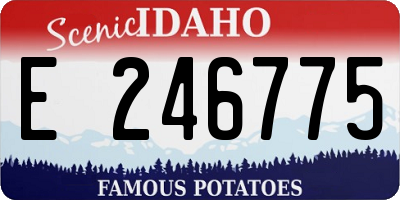 ID license plate E246775