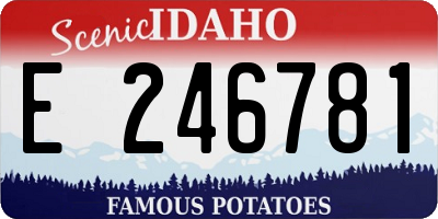 ID license plate E246781