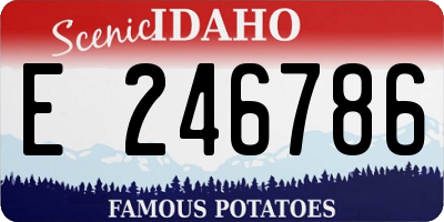 ID license plate E246786