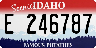 ID license plate E246787