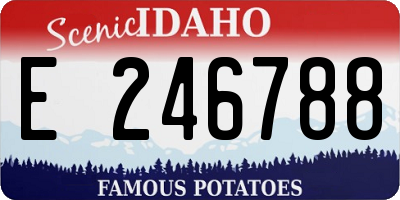 ID license plate E246788