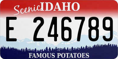 ID license plate E246789