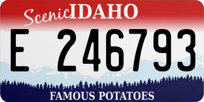 ID license plate E246793