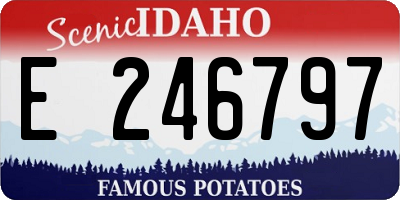 ID license plate E246797