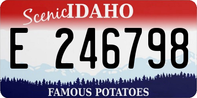 ID license plate E246798