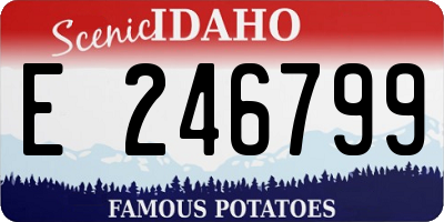 ID license plate E246799