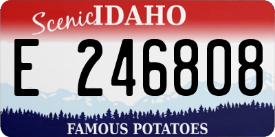 ID license plate E246808