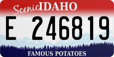 ID license plate E246819