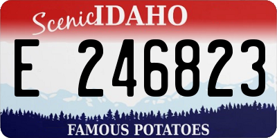 ID license plate E246823
