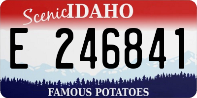 ID license plate E246841
