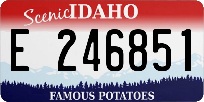 ID license plate E246851
