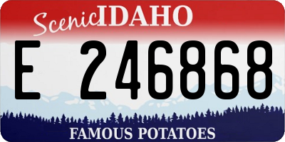 ID license plate E246868