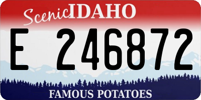 ID license plate E246872
