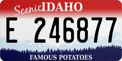 ID license plate E246877