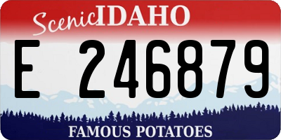 ID license plate E246879