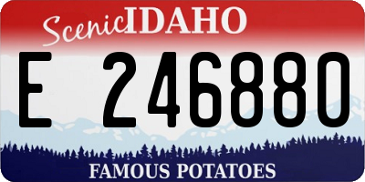 ID license plate E246880