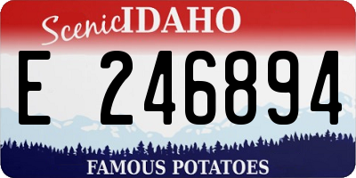 ID license plate E246894