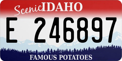 ID license plate E246897