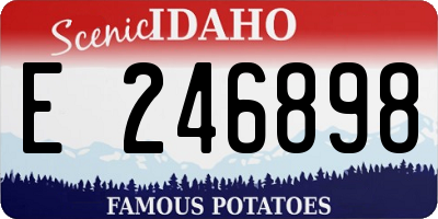 ID license plate E246898