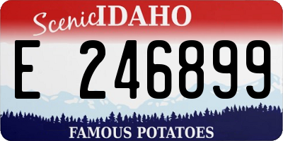 ID license plate E246899