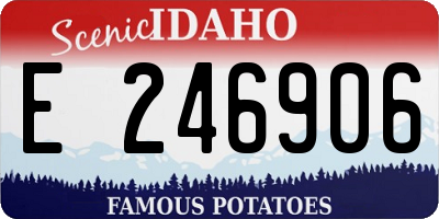 ID license plate E246906