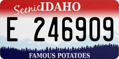 ID license plate E246909