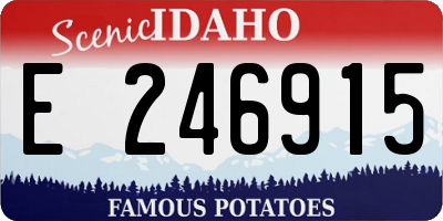 ID license plate E246915