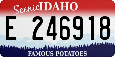 ID license plate E246918