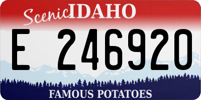 ID license plate E246920