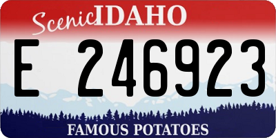 ID license plate E246923
