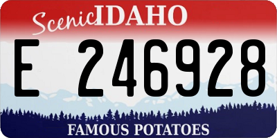 ID license plate E246928